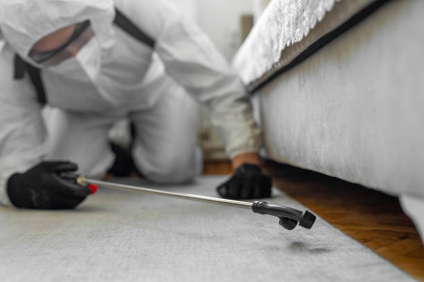 Professional Cockroach Control technician working in Machias, WA